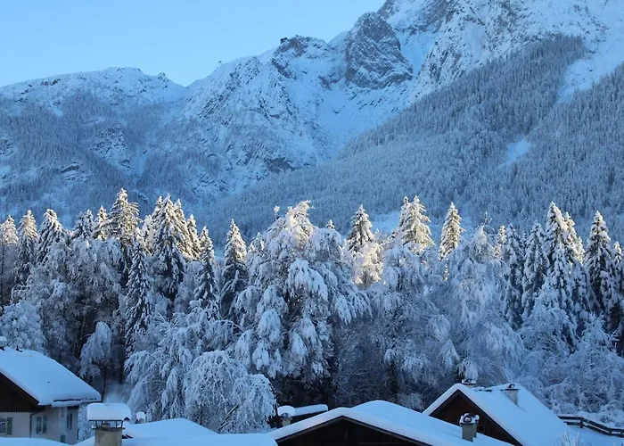 Zum Eibsee غرينو