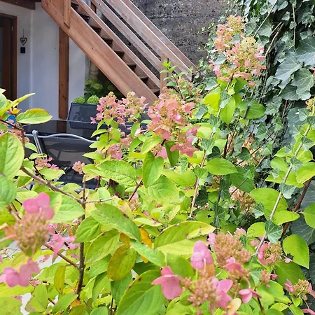 Zum Eibsee Ferienhaus Grainau
